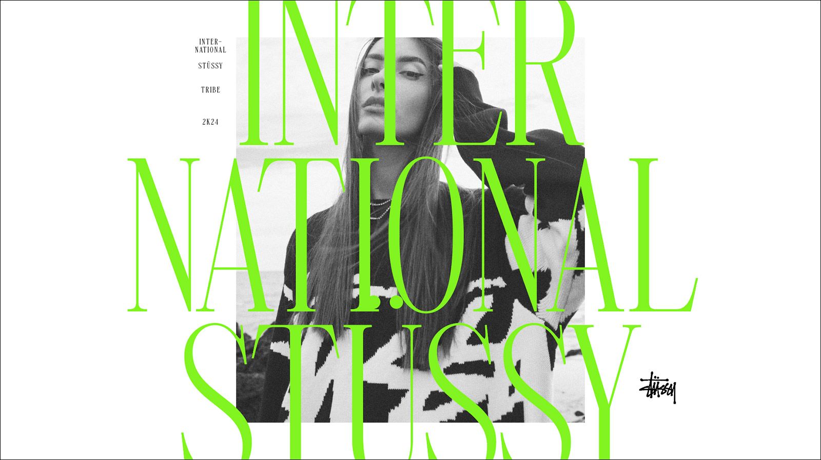 STUSSY, image 7