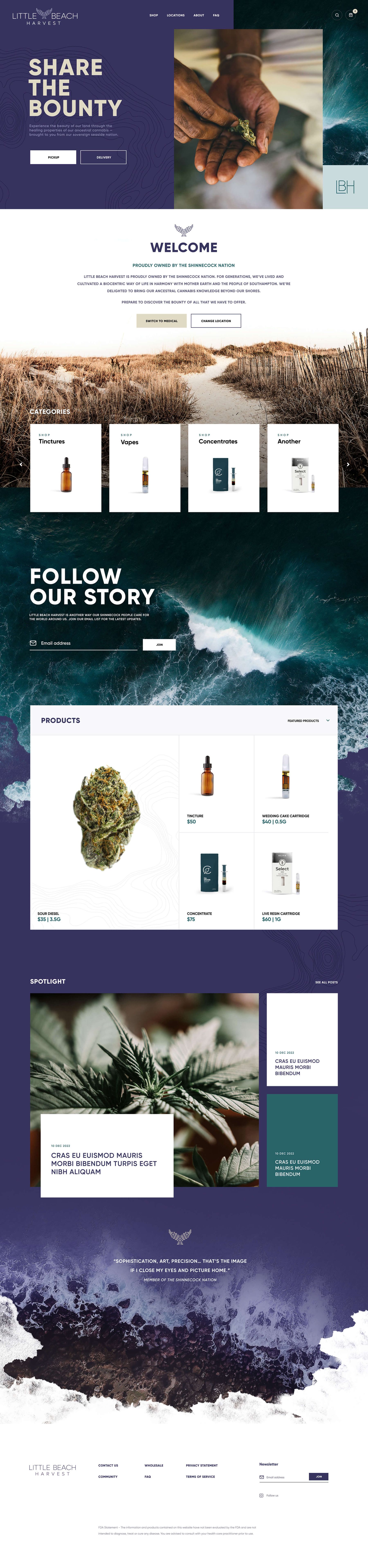 WEBSITE UX/UI LEADERSHIP, image 3